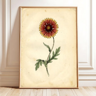 Vintage botanische Wandkunst Poster