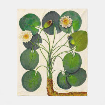 Vintage botanische Wasserlilie Fleece Blanket