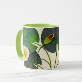 Vintage botanische Wasserlilie Tasse