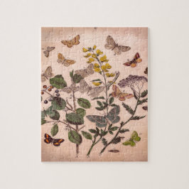 Vintage botanische Wildblumen der Bluterkrankung