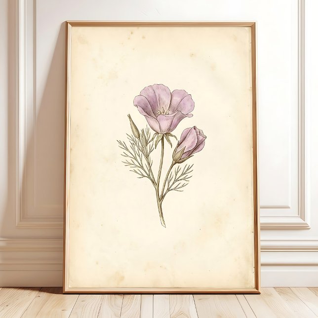 Vintage Botanischer Kunst Druck Poster (Von Creator hochgeladen)