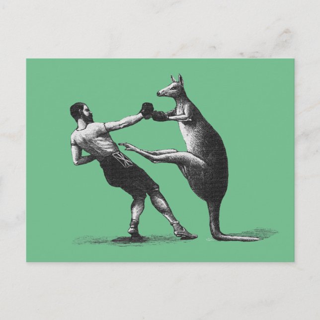 Vintage-Boxen-Känguru Postkarte (Vorderseite)