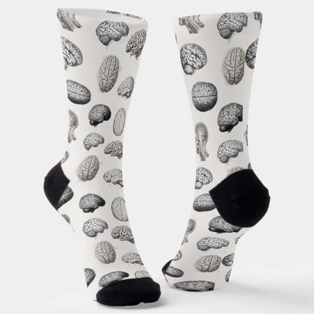 Vintage Brain Anatomy Illustrations Socken (Gewinkelt)