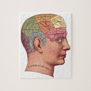 Vintage Brain Function Illustration