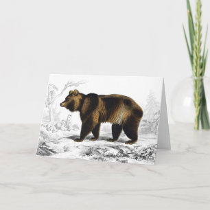 Vintage Braunbär 1849 Buchillustration Karte