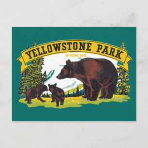 Vintage Braunbären im Yellowstone-Nationalpark Postkarte