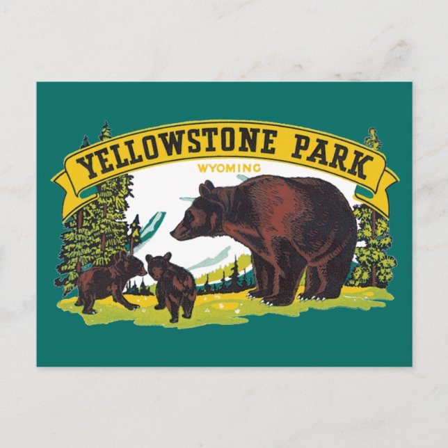 Vintage Braunbären im Yellowstone-Nationalpark Postkarte (Vorderseite)