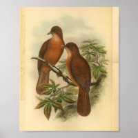 Vintage Braunvogel-Schriftzüge