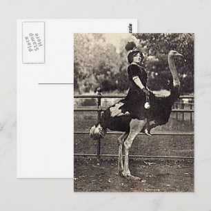 Vintage-Broadway-Schauspielerin auf einem Strauß r Postkarte