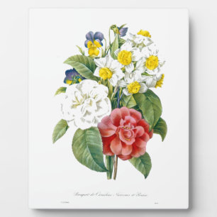 Vintage bunte botanische Blume von Redoute. Fotoplatte
