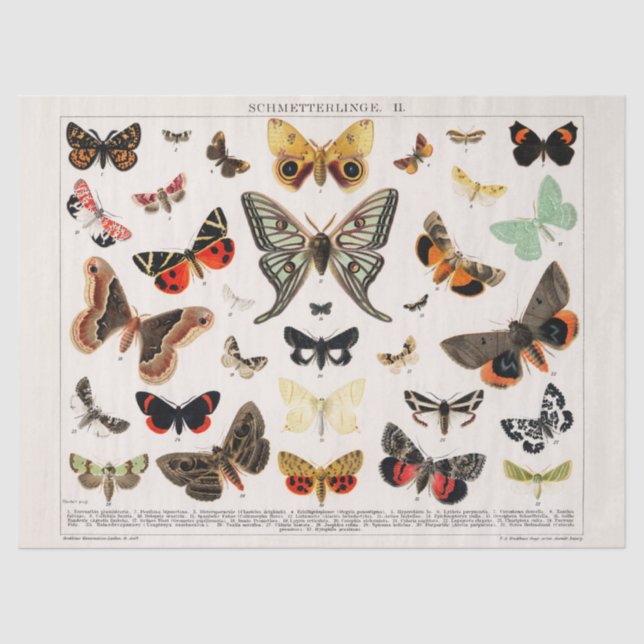 Vintage Butterfett- oder Decoupage-Papier Seidenpapier (Vorderseite)