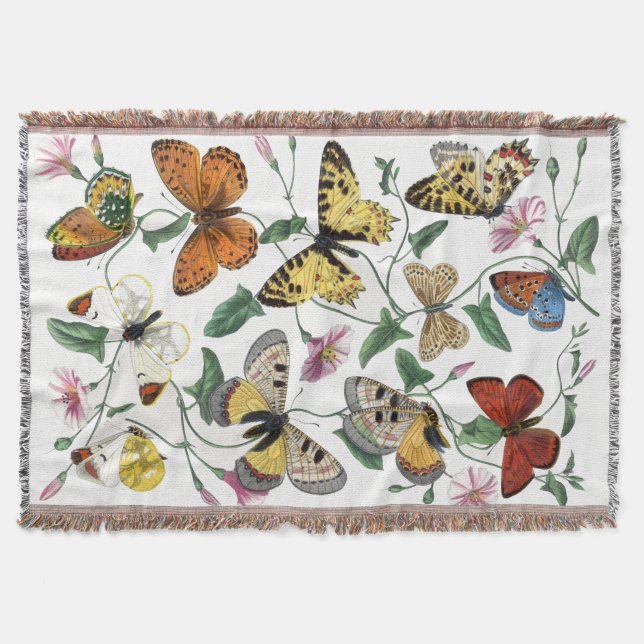 Vintage Butterfly & Moth-Malerei Decke (Vorderseite)