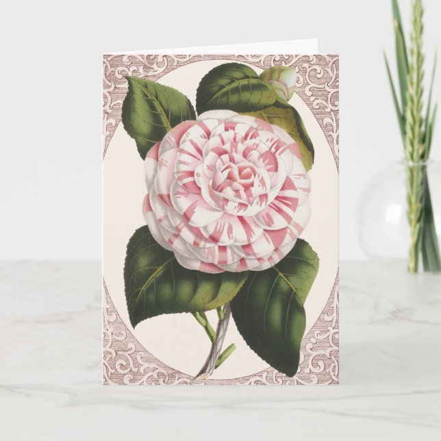 Vintage Camellia Elegant Merci (Devant)