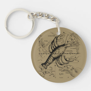 Vintage Cancer Constellation Map Hevelius 1690