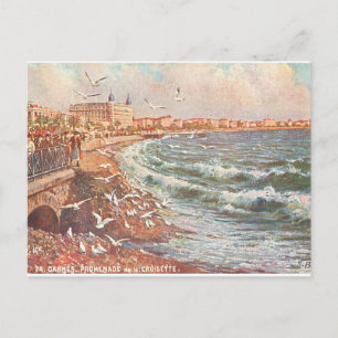 Vintage Cannes Frankreich Postkarte