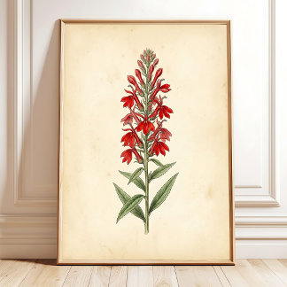 Vintage Cardinalblumen-Wandkunst gerahmter Druck Poster