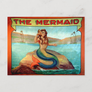 Vintage Carte postale du spectacle Mermaid Circus