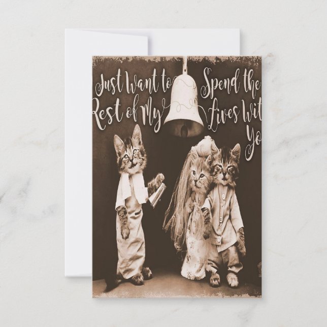 Vintage Cat Wedding |Cute Cat Design RSVP Karte (Vorderseite)
