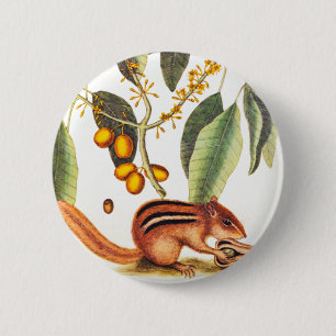 Vintage Chipmunk-Illustration Button