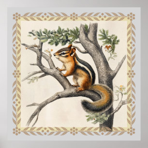 Vintage Chipmunk-Sketch für Naturliebhaber Poster