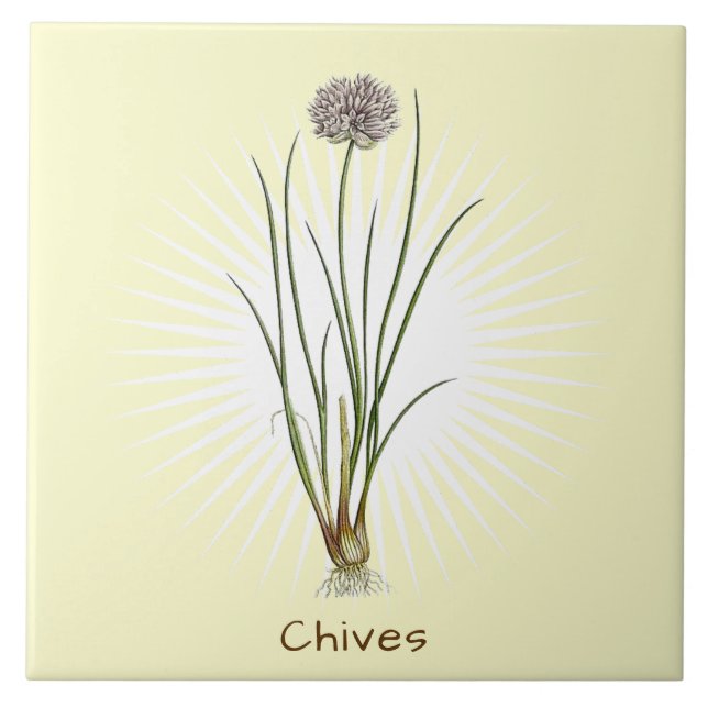 Vintage Chives Herb Botanische Keramik Fliese (Vorderseite)