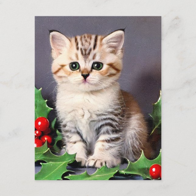 Vintage Christmas Kitten und Holly Begleitkarte (Vorderseite)