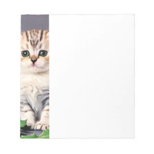 Vintage Christmas Kitten und Holly Notizblock