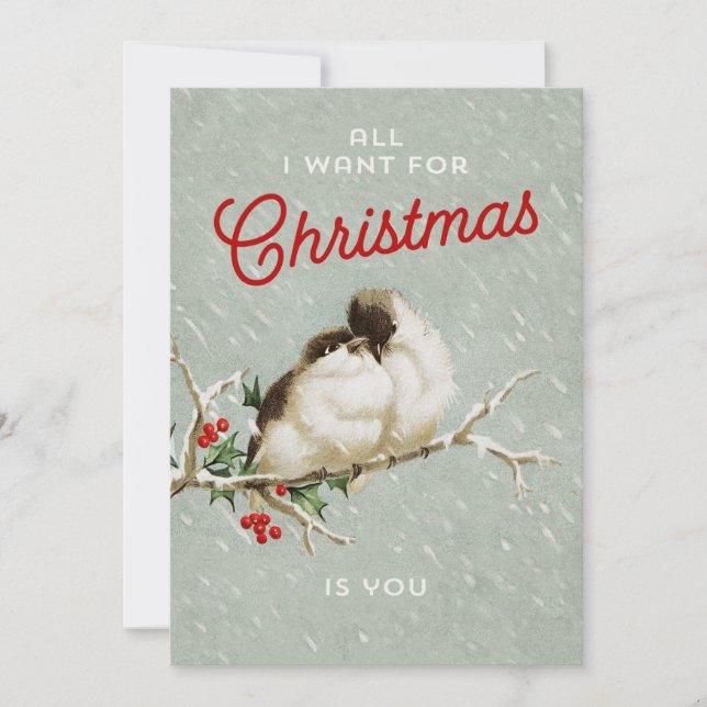 Vintage Christmas Love Birds Feiertagskarte (Vorderseite)