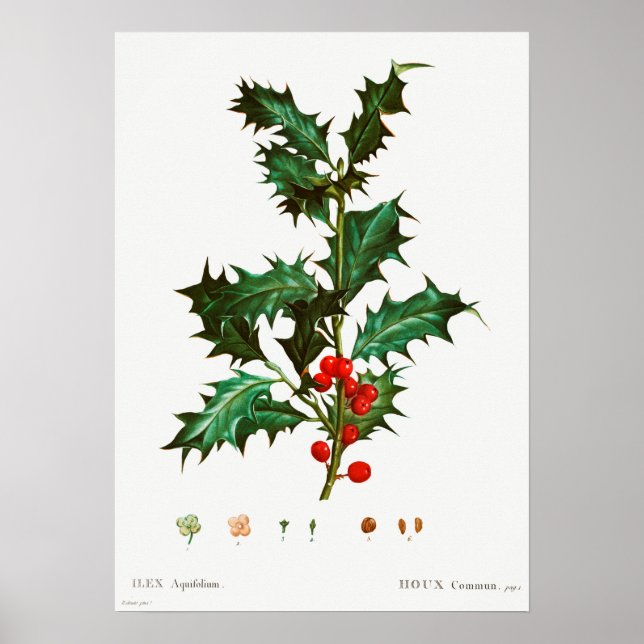 Vintage Christmas Mistletoe Poster (Vorne)