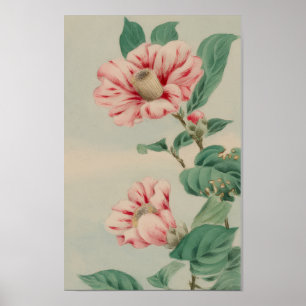 VINTAGE-CHRYSANTHEME BOTANISCHE BLUME POSTER