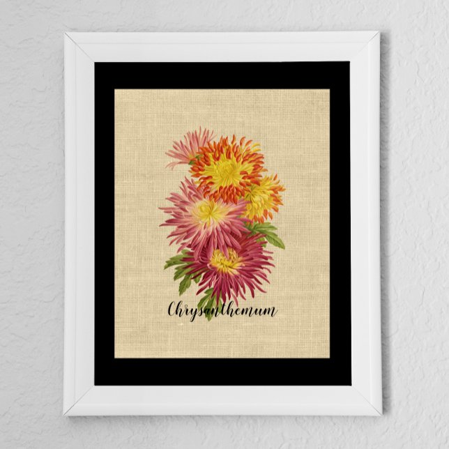 Vintage Chrysanthemen-Botanik  Poster (Von Creator hochgeladen)