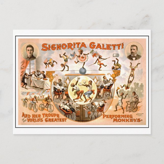 Vintage Circus Darstellende Affen Postkarte (Vorderseite)