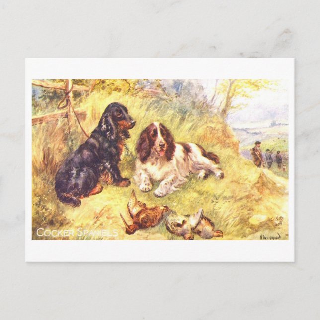 Vintage Cocker Spaniels Postkarte (Vorderseite)
