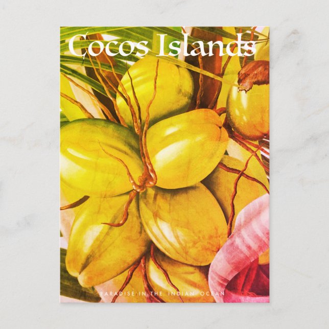 Vintage Cocos-Insel-Kokosnussreise Ankündigungspostkarte (Vorderseite)