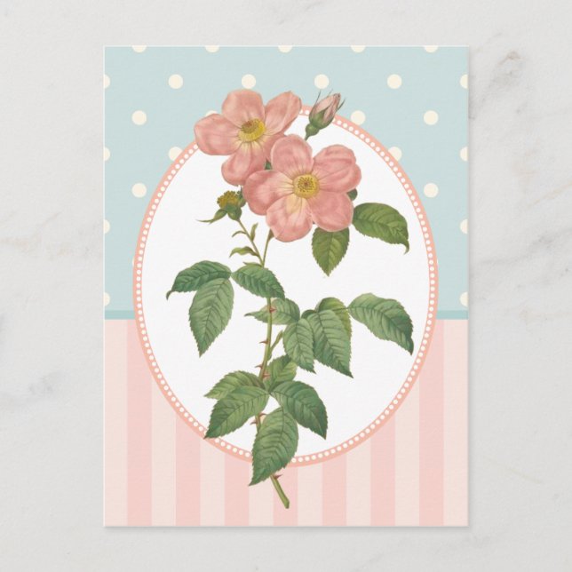 Vintage Collage Pink Roses Botanische Printwerbung Postkarte (Vorderseite)