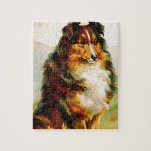 Vintage Collie-Hund