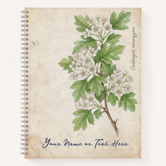 Vintage Common Hawthorn (Crataegus monogyna) Notizbuch