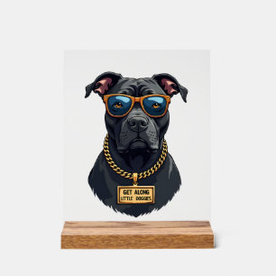 Vintage cooler Pitbull mit Sonnenbrille und Goldke Acrylschild