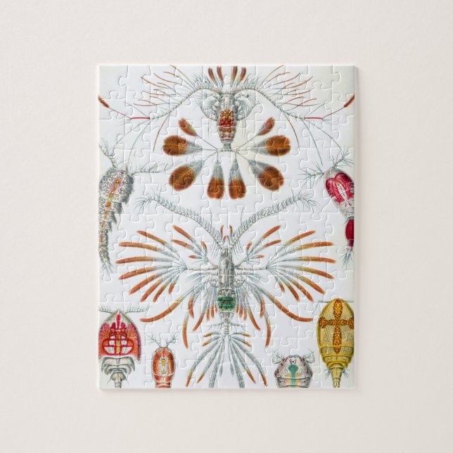 Vintage Copepoda Ocean Animes von Ernst Haeckel (Vertikal)
