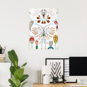 Vintage Copepoda Ozean-Tiere von Ernst Haeckel Poster