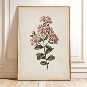 Vintage-Crape-Myrtle-Blumenprint Bauernhaus-Dekor Poster