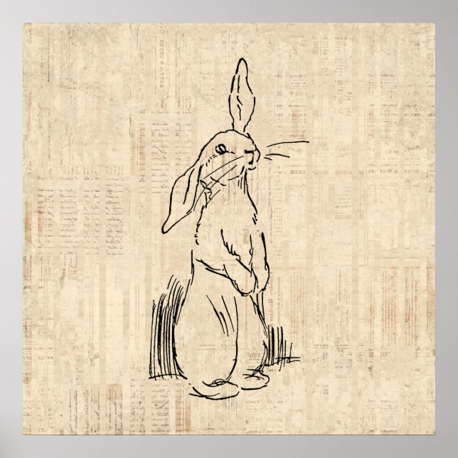 Vintage Cute Bunny Rabbit Art Script Background Poster (Vorne)