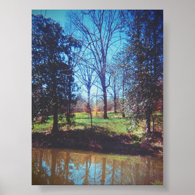 Vintage Daffodil Lake Fotografie Poster (Vorne)