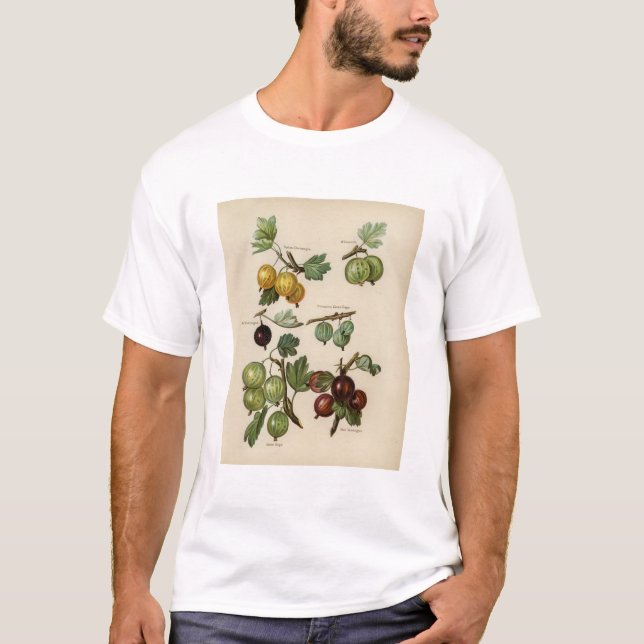 Vintage Darstellung der Stachelbeere T-Shirt (Vorderseite)