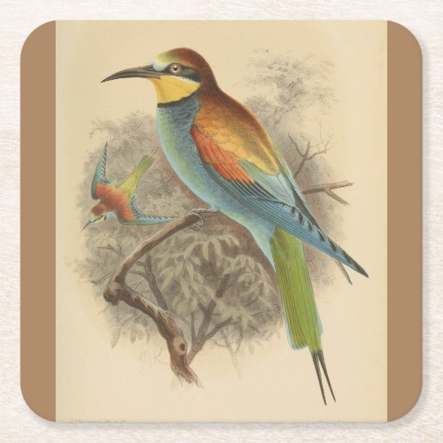 Vintage Darstellung des europäischen Bienenfresser Rechteckiger Pappuntersetzer (Vorderseite)