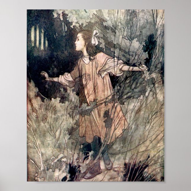 Vintage Darstellung des Geheimgartens Poster (Vorne)