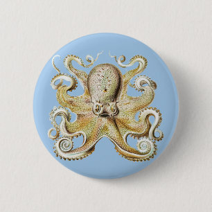 Vintage Darstellung des Meereslebens Octopus Button