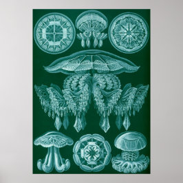 Vintage Darstellung des Meereslebens Poster