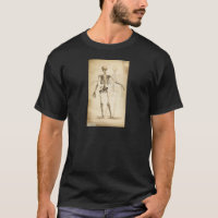 Vintage Darstellung des menschlichen Skeletts