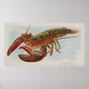 Vintage Darstellung eines Hummers (1889) Poster